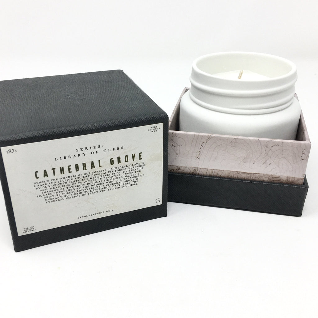 CATHEDRAL GROVE CANDLE | LIBRARY OF TREES SERIES | HOLLOW TREES HOLLOW TREE - Ambiente Gifts, Decor & Design