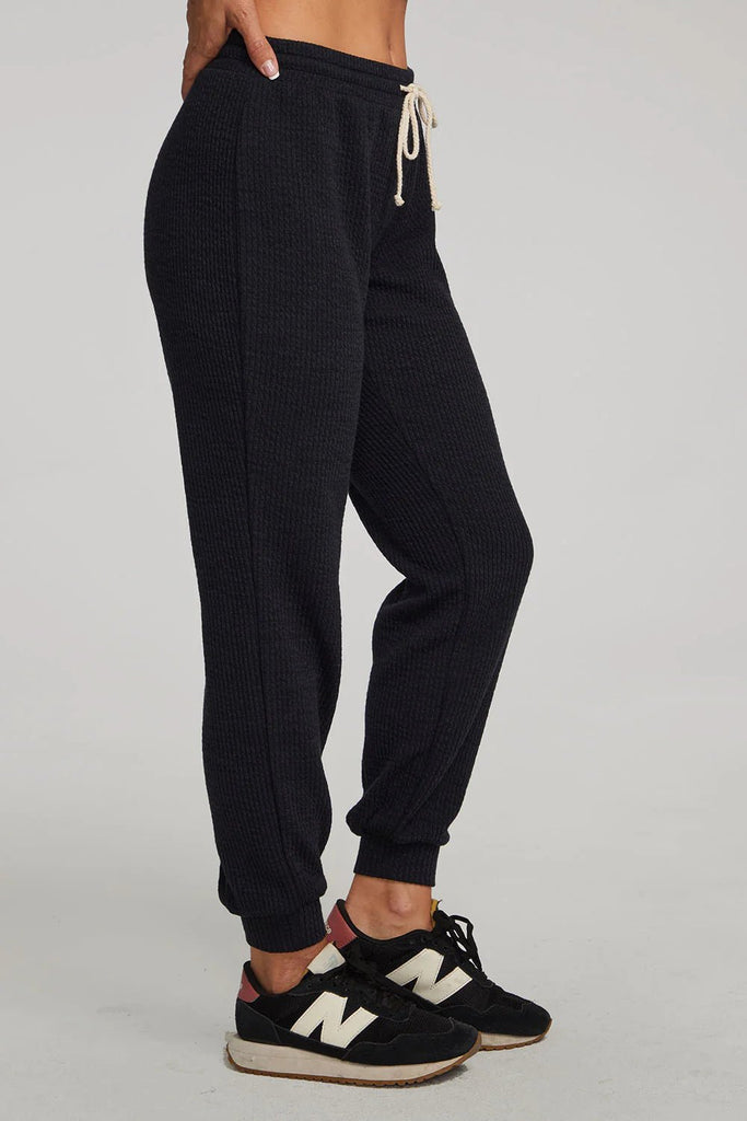 Pull On Jogger Pant - Black | Saltwater Luxe Saltwater Luxe - Ambiente Gifts, Decor & Design